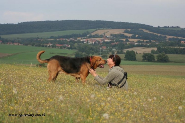 sierpień i zlot 059.jpg