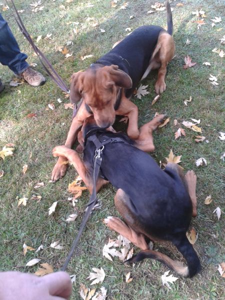 20131005_111508.jpg