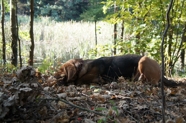 DSC07615 (640x425).jpg