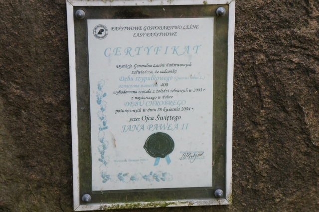 DSC07486 (640x425).jpg