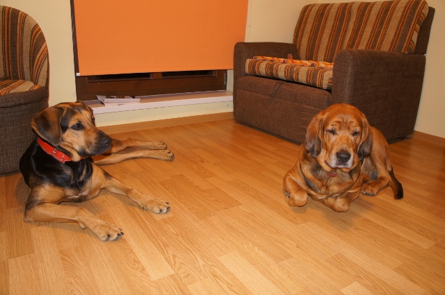 Ares i Gabi