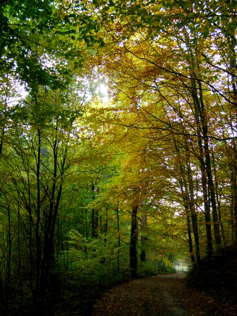 PA110077.JPG