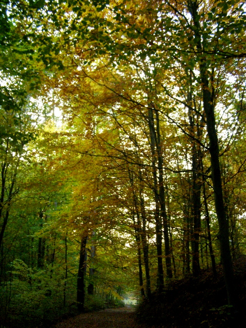PA110076.JPG