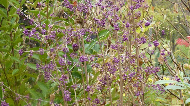 P1000716.JPG