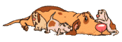 phpThumb.php.gif