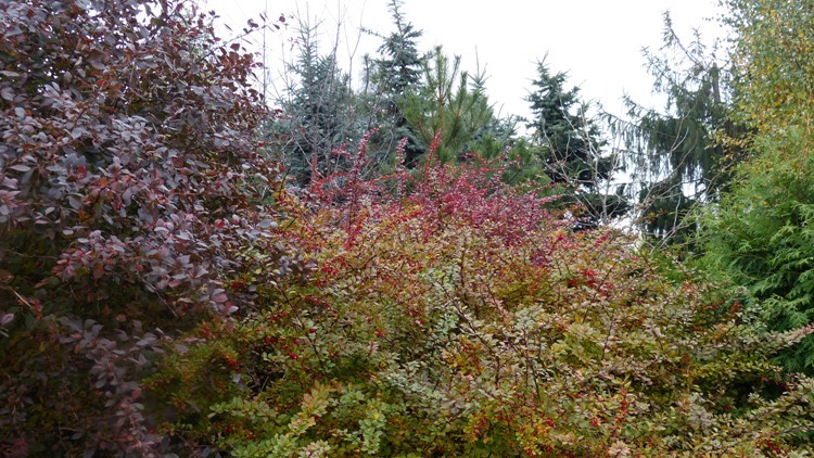 P1000700.JPG