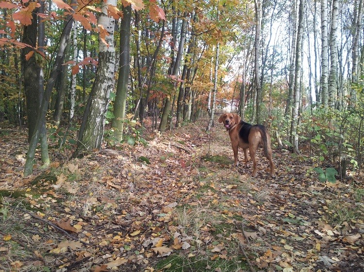 20131012_145655.jpg