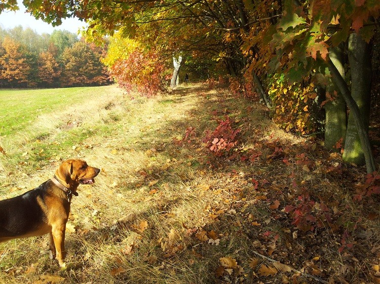 20131012_145826.jpg