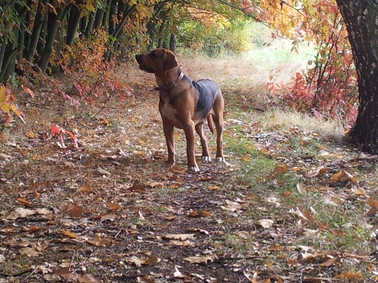 20131012_150141.jpg