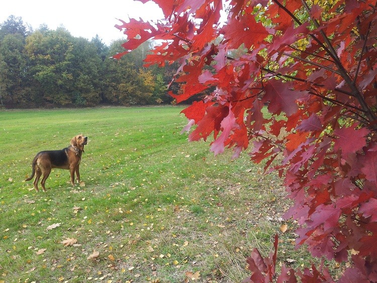 20131012_150740.jpg