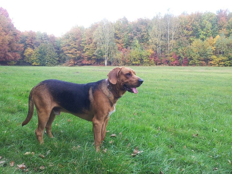 20131012_152454.jpg