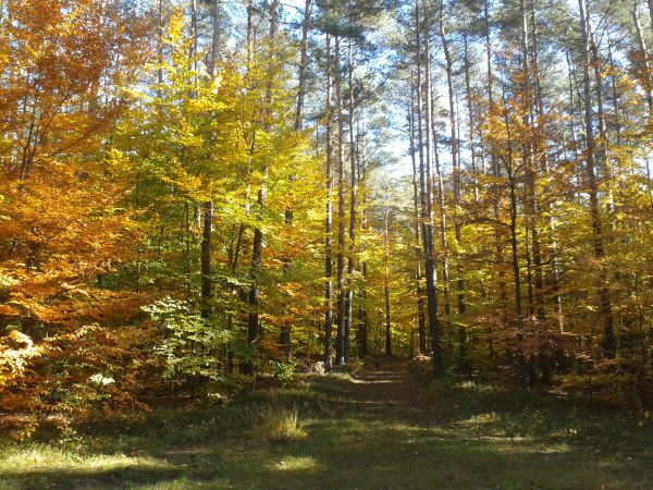 20131013_121345.jpg