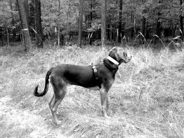 20131010_112937.jpg