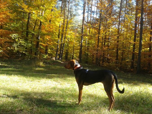 20131013_121354.jpg