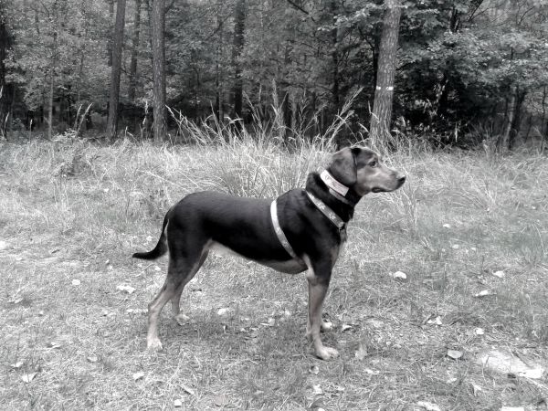 20131010_112928.jpg