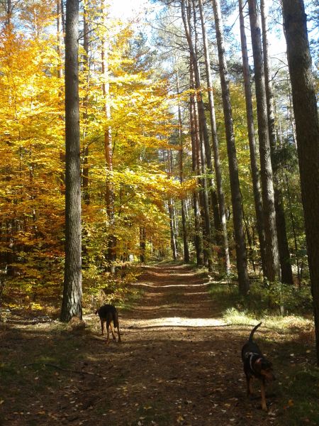 20131013_121815.jpg