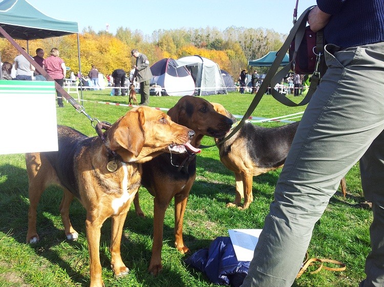 20131013_121419.jpg