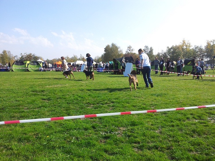 20131013_120150.jpg
