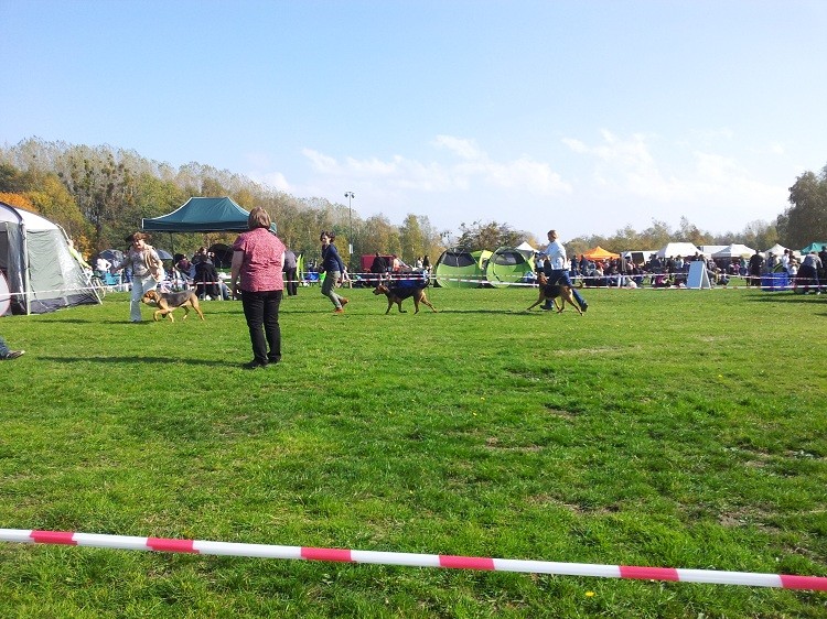 20131013_120154.jpg
