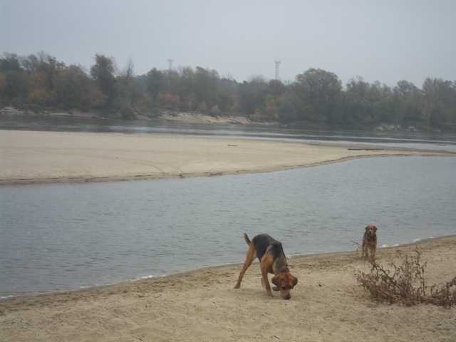 100_5012.JPG