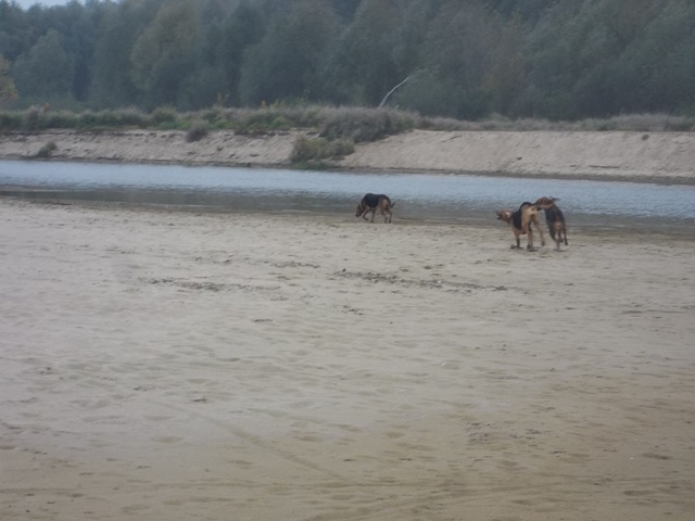 100_5018.JPG