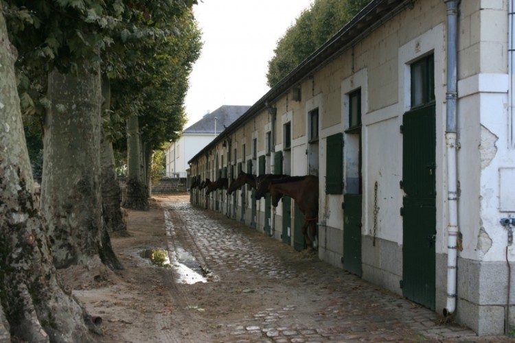 Szkoła kawalerii - Narodowa Szkoła Jeździectwa w Saumur.