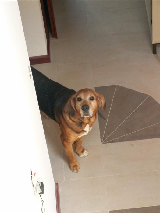 PICT0046.JPG