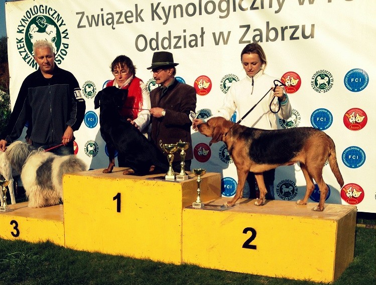 Zdjęcie zrobione przez właścicieli Grota :)