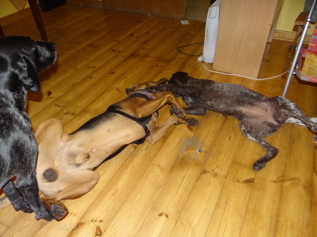 DSC02004.JPG