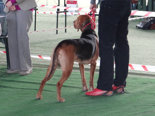 DSC01911.JPG