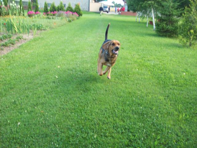 100_8285.JPG