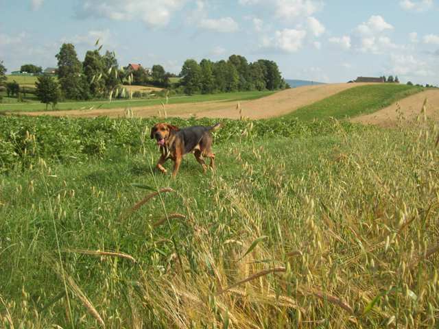 100_8218.JPG