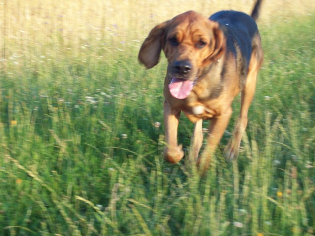 100_8321.JPG