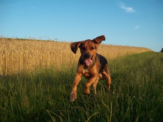 100_8322.JPG