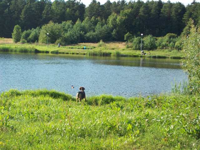 100_8976.JPG