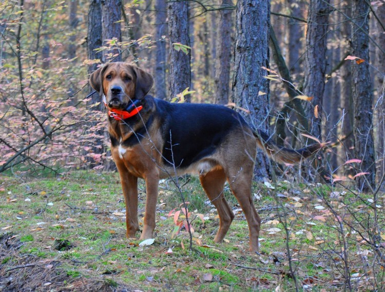 DSC_1140.jpg 4.jpg