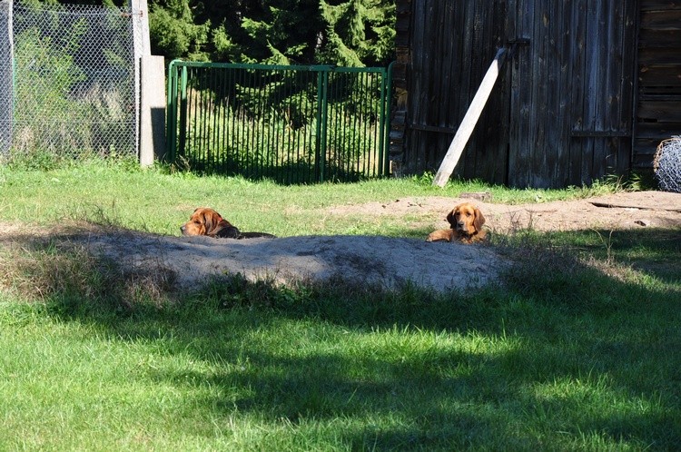 DSC_00901.JPG b.jpg