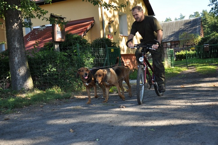 DSC_0058.JPG b.jpg