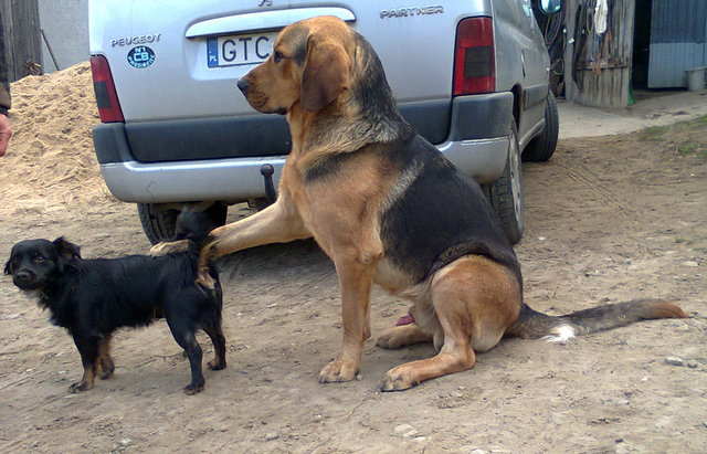 Zdjęcie0124.jpg