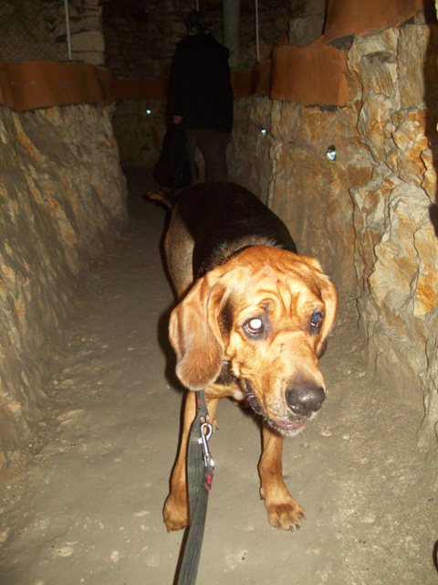 100_8797.JPG