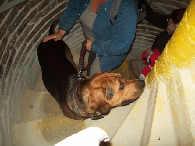 100_8806.JPG