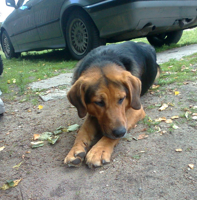 Zdjęcie0250.jpg