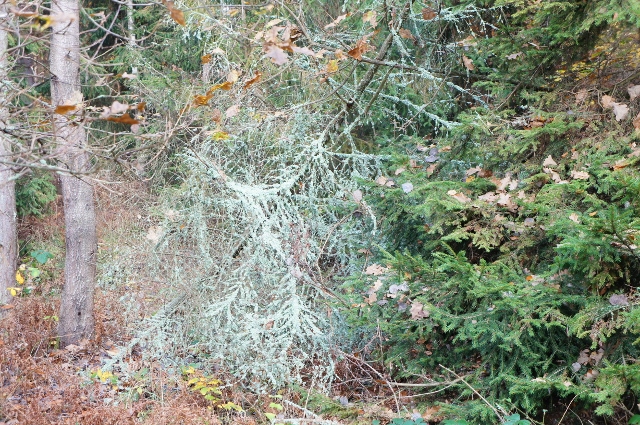 DSC07792 (640x425).jpg