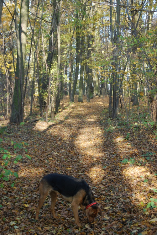 DSC_0004.JPG