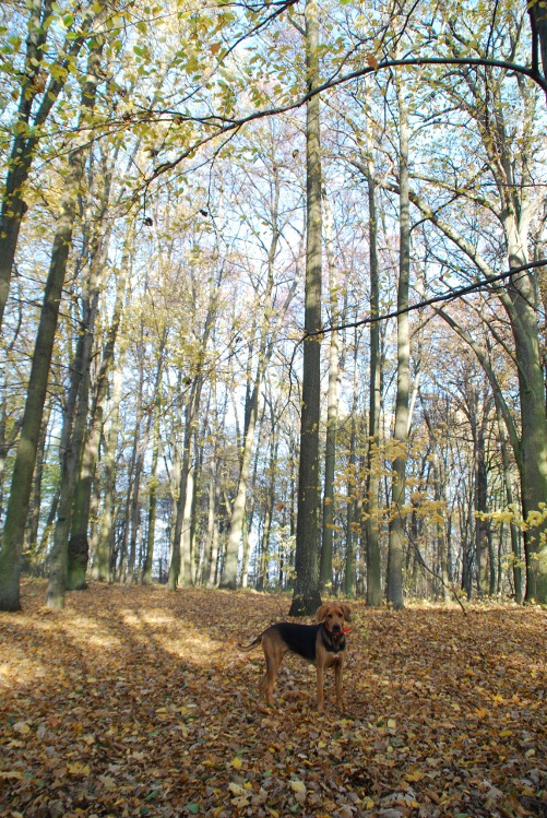 DSC_0008.JPG