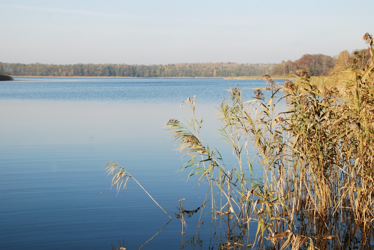 DSC_0011.JPG