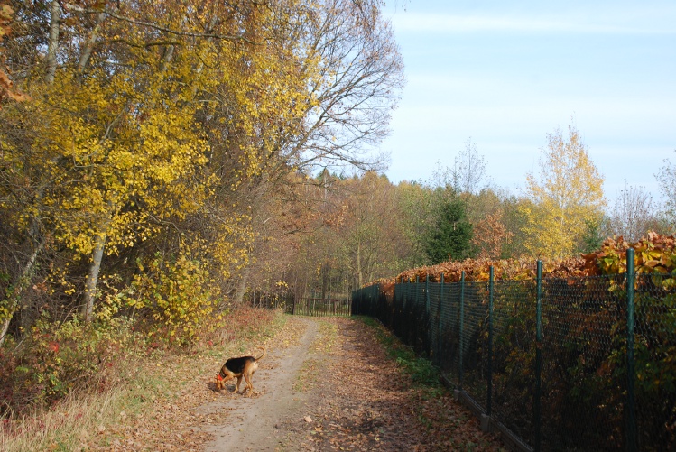 DSC_0047.JPG