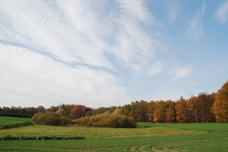 DSC_0045.JPG