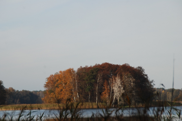 DSC_0050.JPG