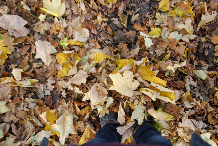 lubię to:)